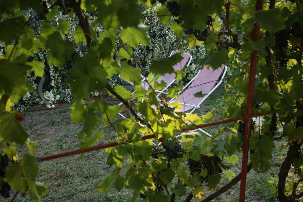 Kucica Ljubcek Villa Privlaka  Rom bilde